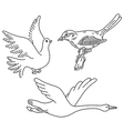 birds wings set linear silhouette vector image vector image