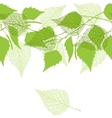 seamless pattern with green birch leaves vector image