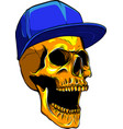 skull head with hat design vector image