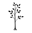 black tree silhouette isolated on white background vector image