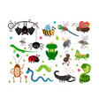 cute insects reptiles bee grasshopper lizard vector image
