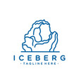 iceberg logo design vector image