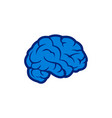 blue brain abstract logo concept logo icon vector image vector image