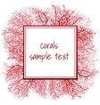 texture of red coral and frame for text vector image