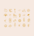 symbols flat light beige vector image vector image