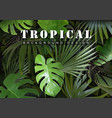 tropical background with jungle plants vector image vector image