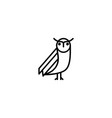 owl animal icon vector image