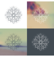 set of ornament round mandalas vector image vector image