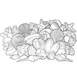 background with seashells vector image