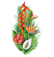 arrangement from tropical plants vector image vector image