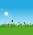 spring landscape vector image