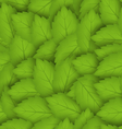 seamless stylish pattern with green leaves vector image