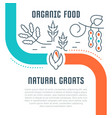 website banner and landing page organic food vector image