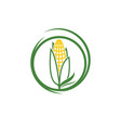 agriculture corn icon design vector image vector image