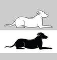 dogs black silhouette and outline vector image vector image