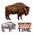 bison buffalo bull or ox wild animal sketch vector image vector image