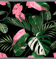 pink green liana branch and tropical leaves vector image vector image