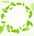 realistic green leaves circle frame background vector image