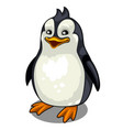 one smiling penguin on white background vector image vector image