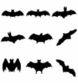 bats flying silhouette detailed vector image