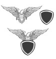 eagle on shield isolated on white background vector image vector image
