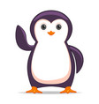 penguin animal standing on a white background vector image