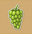 sticker a bunch grapes with oval green berries vector image vector image