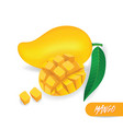 mango fresh fruit graphic vector image