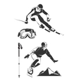 elements for vintage ski and snowboard vector image