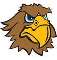 hawk head logo mascot vector image vector image