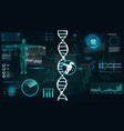 hud dna infographic interface vector image