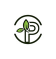 eco green p logotype for company colorful vector image vector image