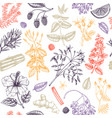 hand drawn tea ingredients background in color vector image