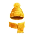 knitted hat and scarf flat vector image vector image
