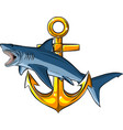 a shark around anchor vector image