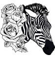 draw in black and white head zebra with roses vector image