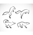 fox vector image vector image