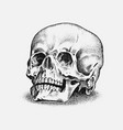 human skull in vintage style retro old school vector image
