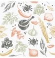 seamless pattern with herbs and spices vector image vector image