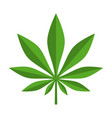 cannabis vector image