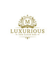 luxury logo crest template design vector image