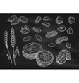nuts grain chalk sketch icons on blackboard vector image