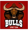 bulls mascot vector image