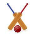 cricket bat and ball for a sports game stock vector image vector image