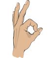 hand gesture vector image vector image