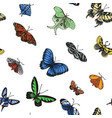 sketch of a butterfly vector image vector image