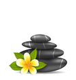 frangipani flower plumeria and pyramid zen spa vector image