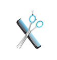 crossed comb and scissors composition vector image