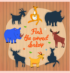 find correct shadow game template vector image vector image