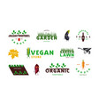set garden organic vegetable and vegan labels vector image